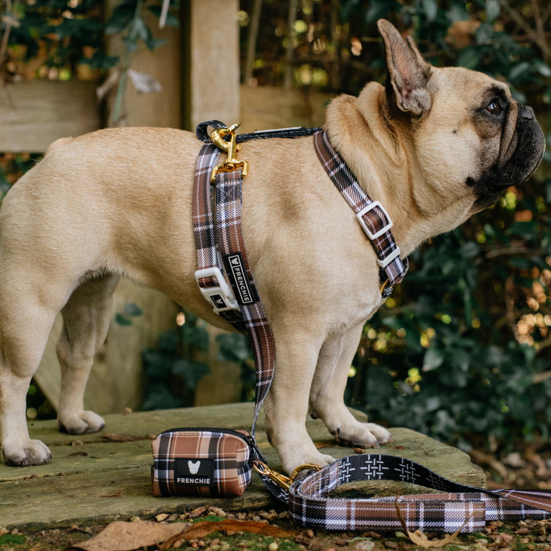 Frenchie Comfort Leash - Cocoa Plaid