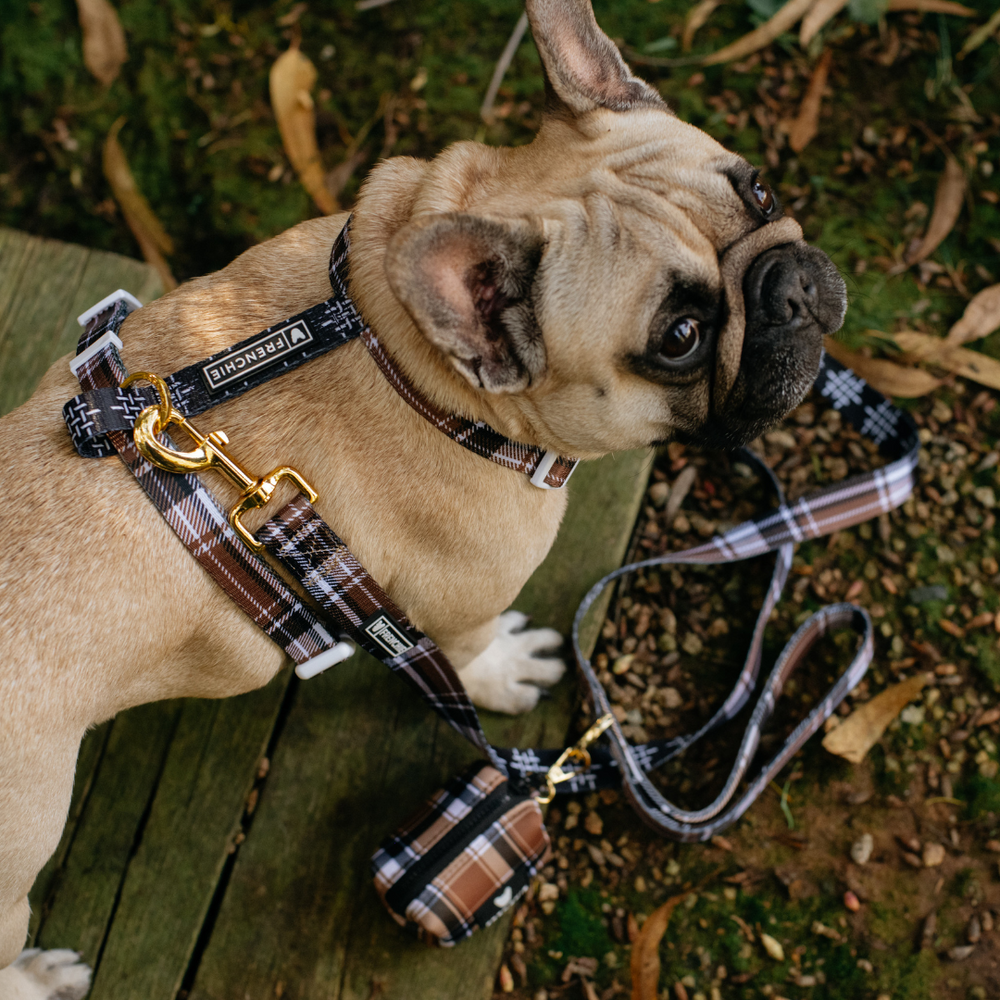 Frenchie Strap Harness - Cocoa Plaid