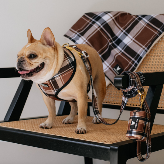 Frenchie Duo Reversible Harness - Cocoa Plaid