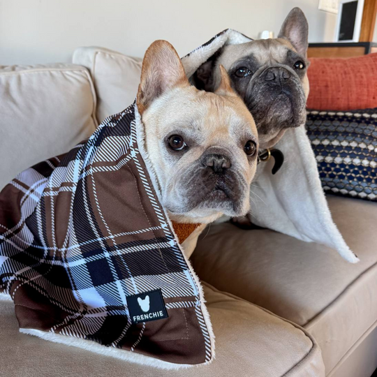 Exclusive Ambassador Gift - Cocoa Plaid