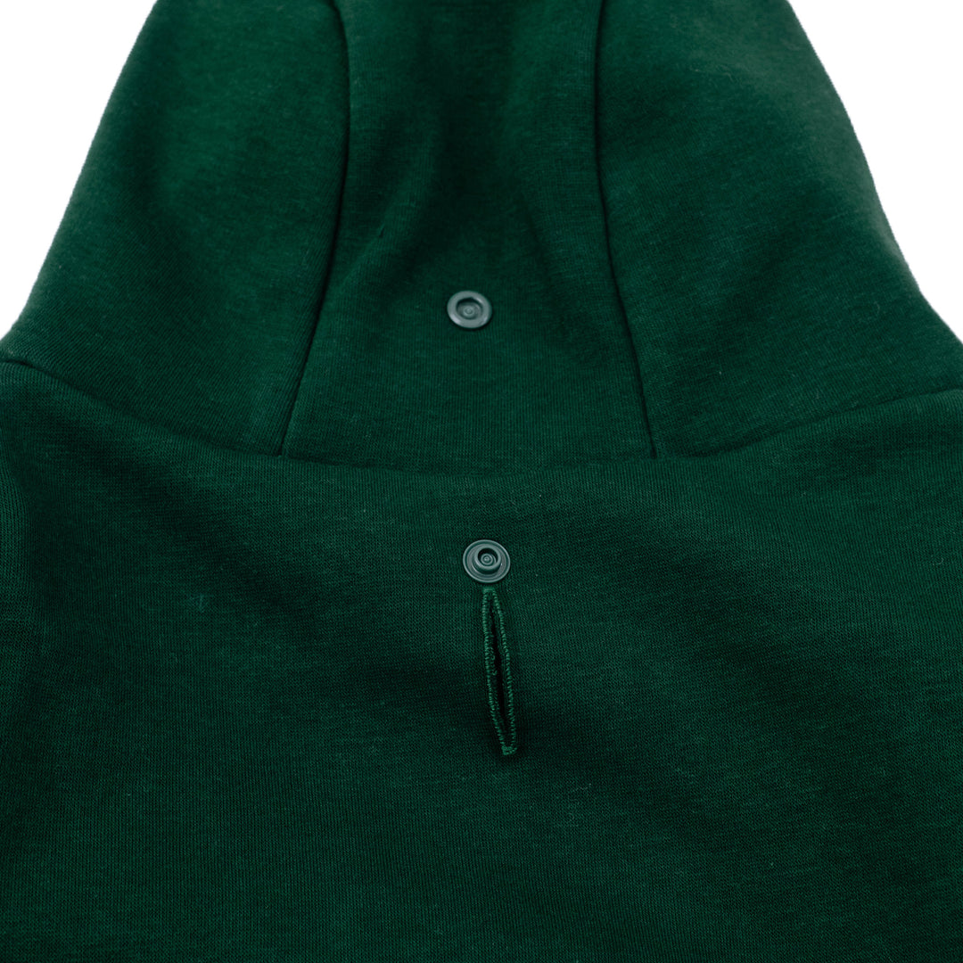 Frenchie Dog Hoodie - Emerald City Varsity