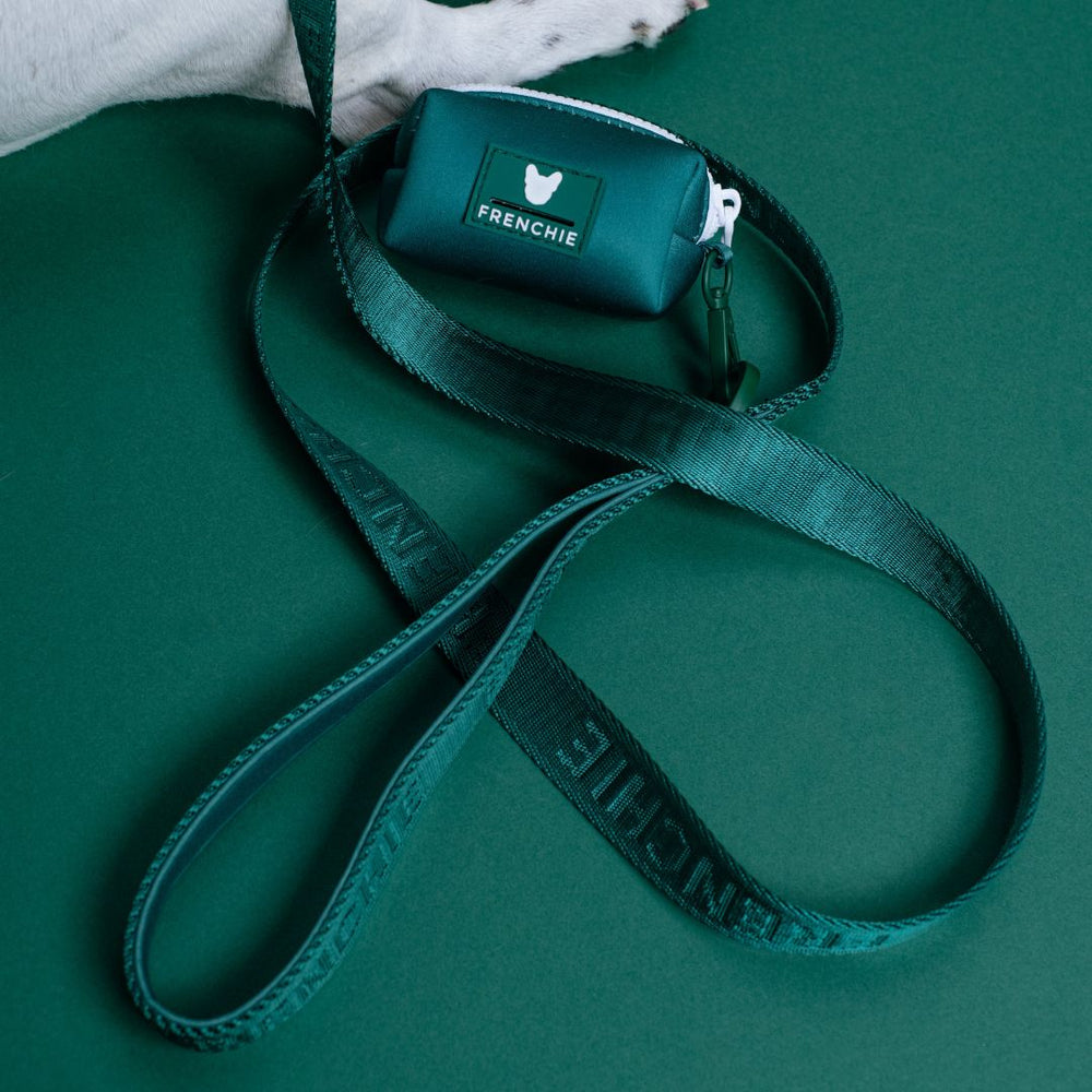 Frenchie Comfort Leash - Emerald City