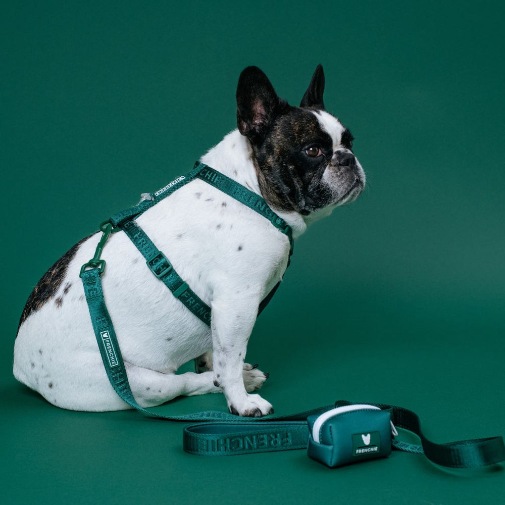 Frenchie Strap Harness - Emerald City