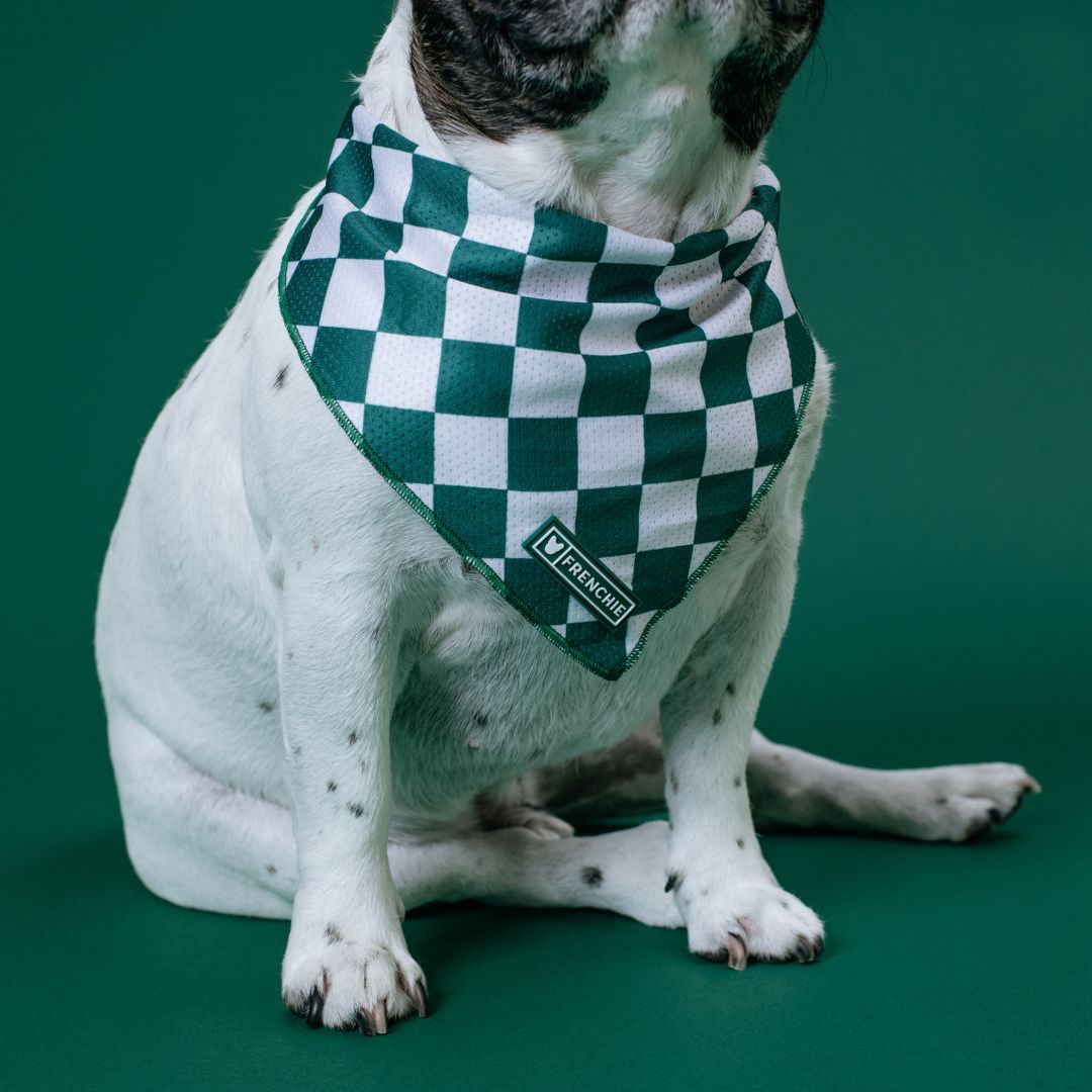 Frenchie Cooling Bandana - Emerald City