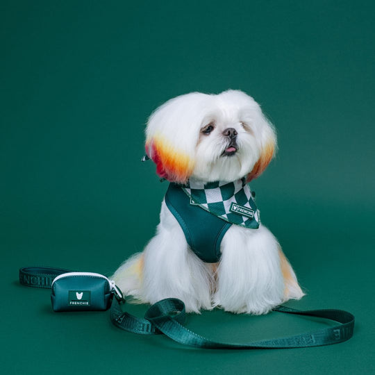 Frenchie Comfort Leash - Emerald City