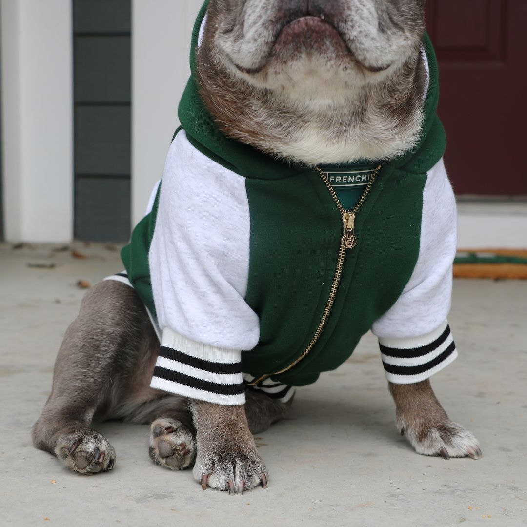 Frenchie Dog Hoodie - Emerald City Varsity