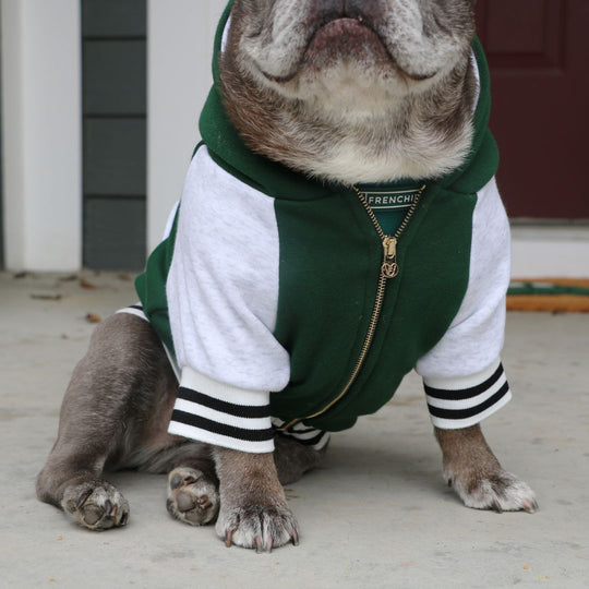 Frenchie Dog Hoodie - Emerald City Varsity