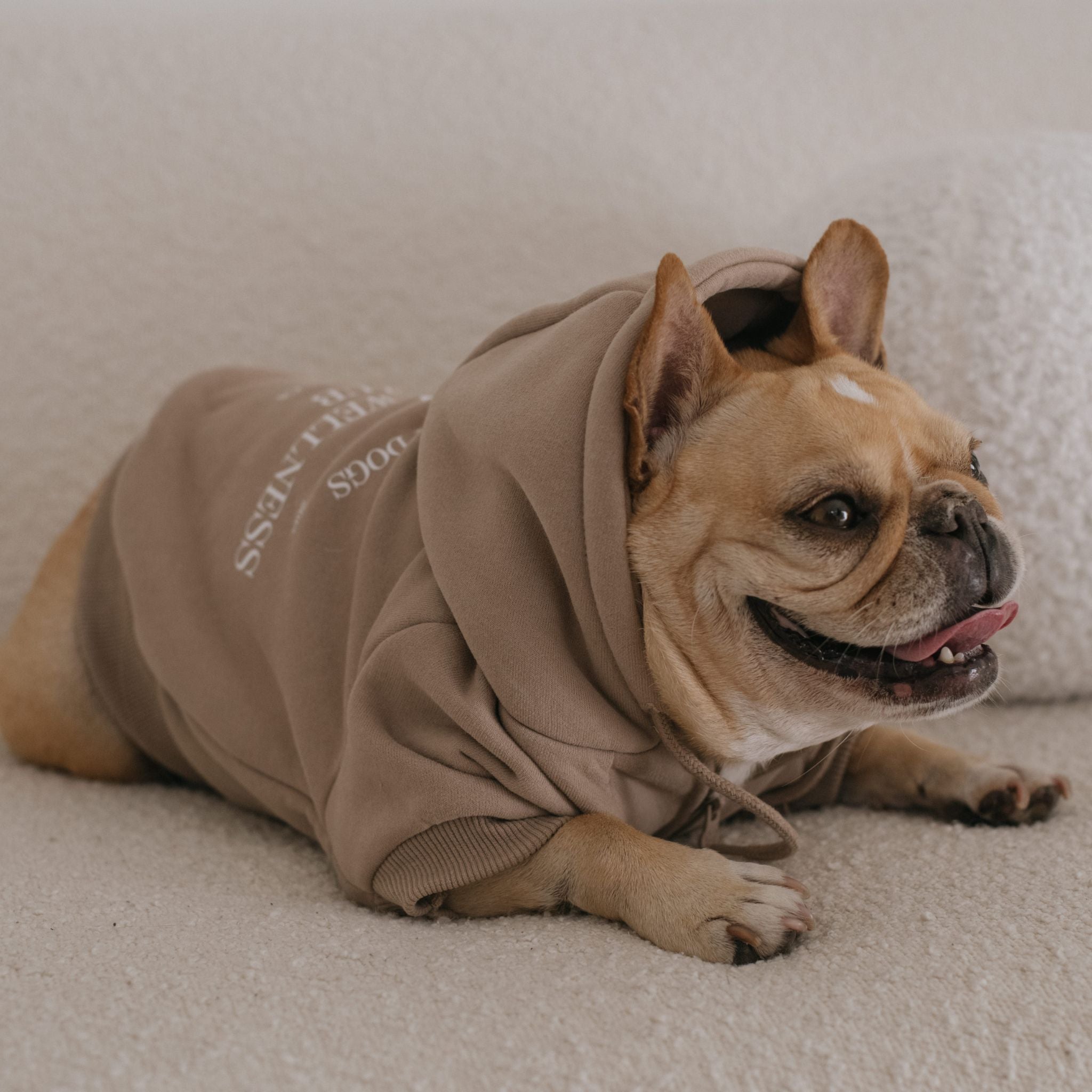 Frenchie hoodie 2024