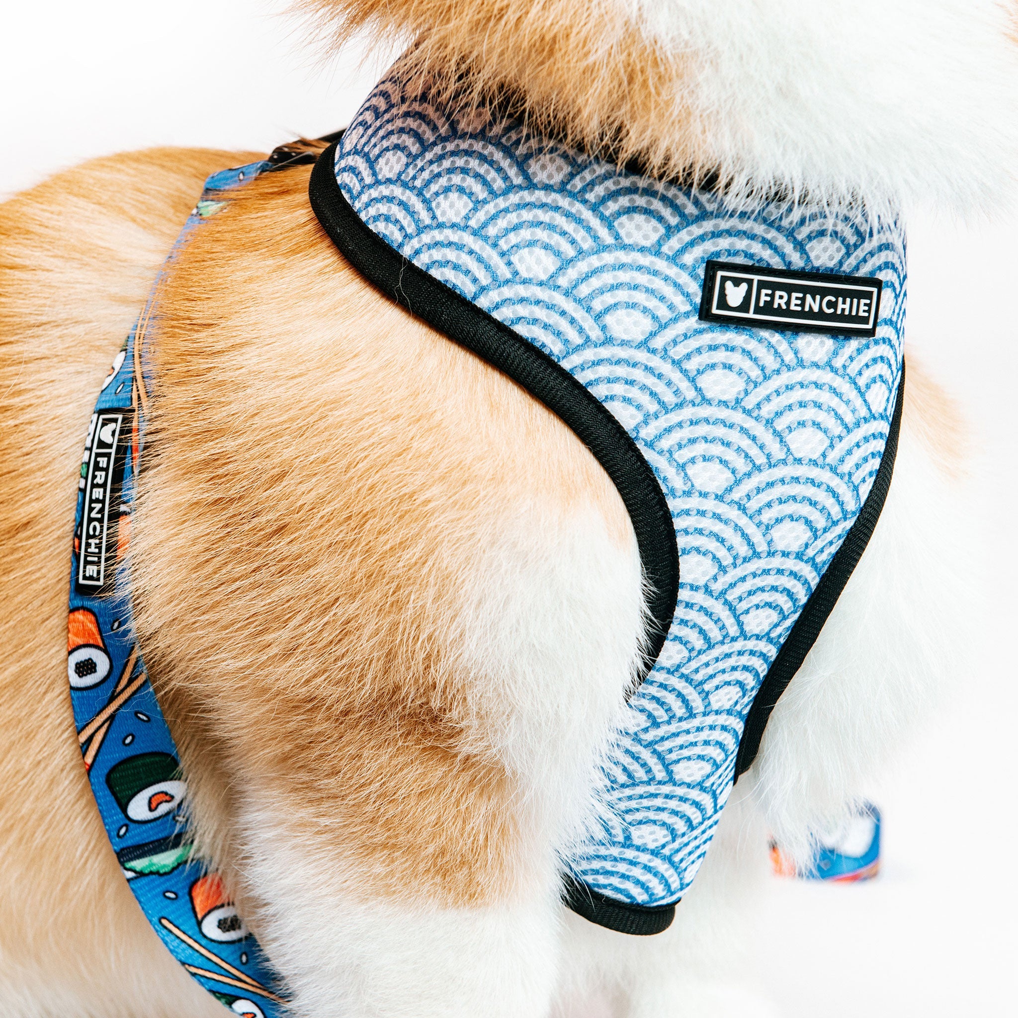 Dog shop harness reversible