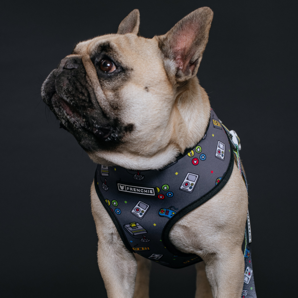 Frenchie Duo Reversible Harness - Gamer