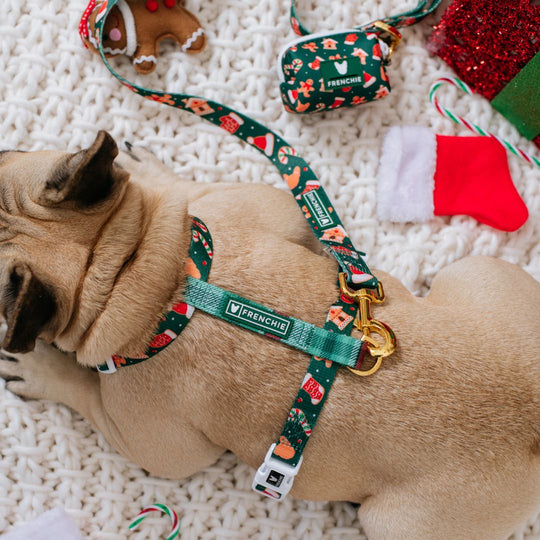 Frenchie Strap Harness - Gingerbread- Green