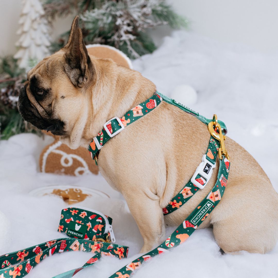 Frenchie Strap Harness - Gingerbread- Green