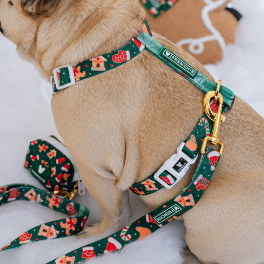 Frenchie Strap Harness - Gingerbread- Green