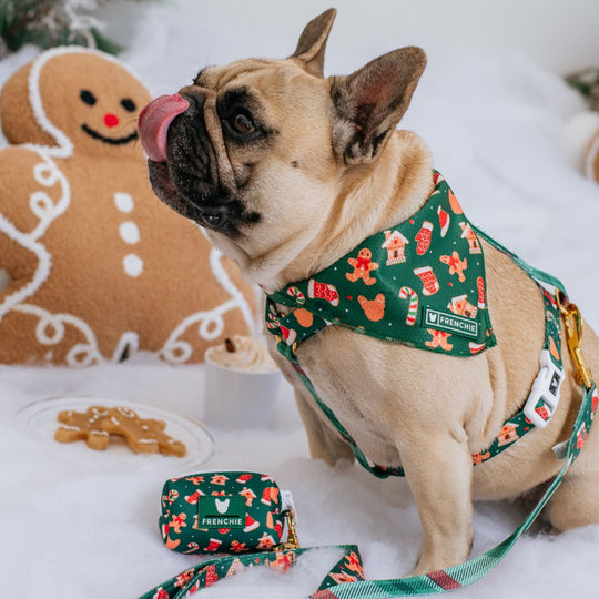 Frenchie Strap Harness - Gingerbread- Green