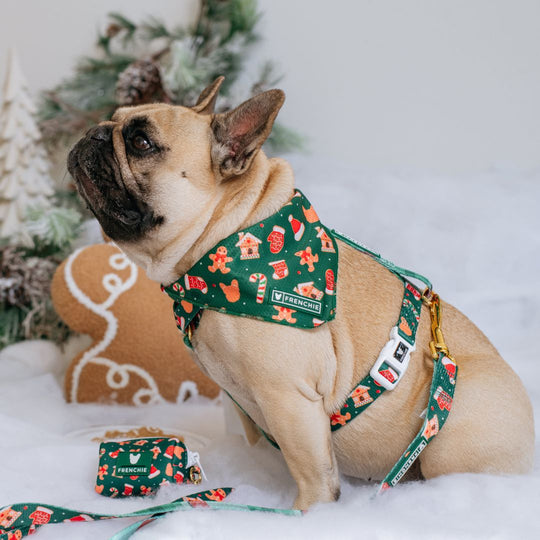 Frenchie Cooling Bandana - Gingerbread- Green