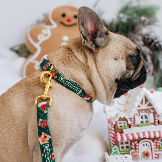 Frenchie Comfort Collar - Gingerbread- Green