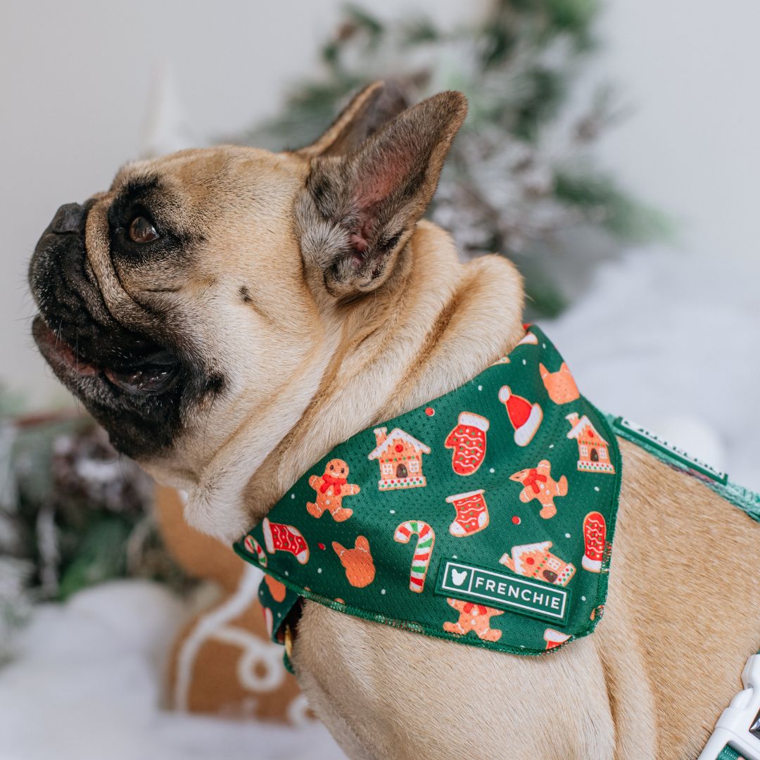 Frenchie Cooling Bandana - Gingerbread- Green