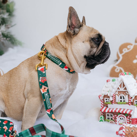 Frenchie Comfort Collar - Gingerbread- Green