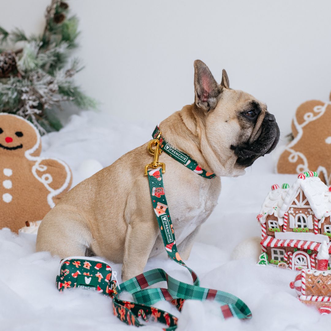 Frenchie Comfort Collar - Gingerbread- Green