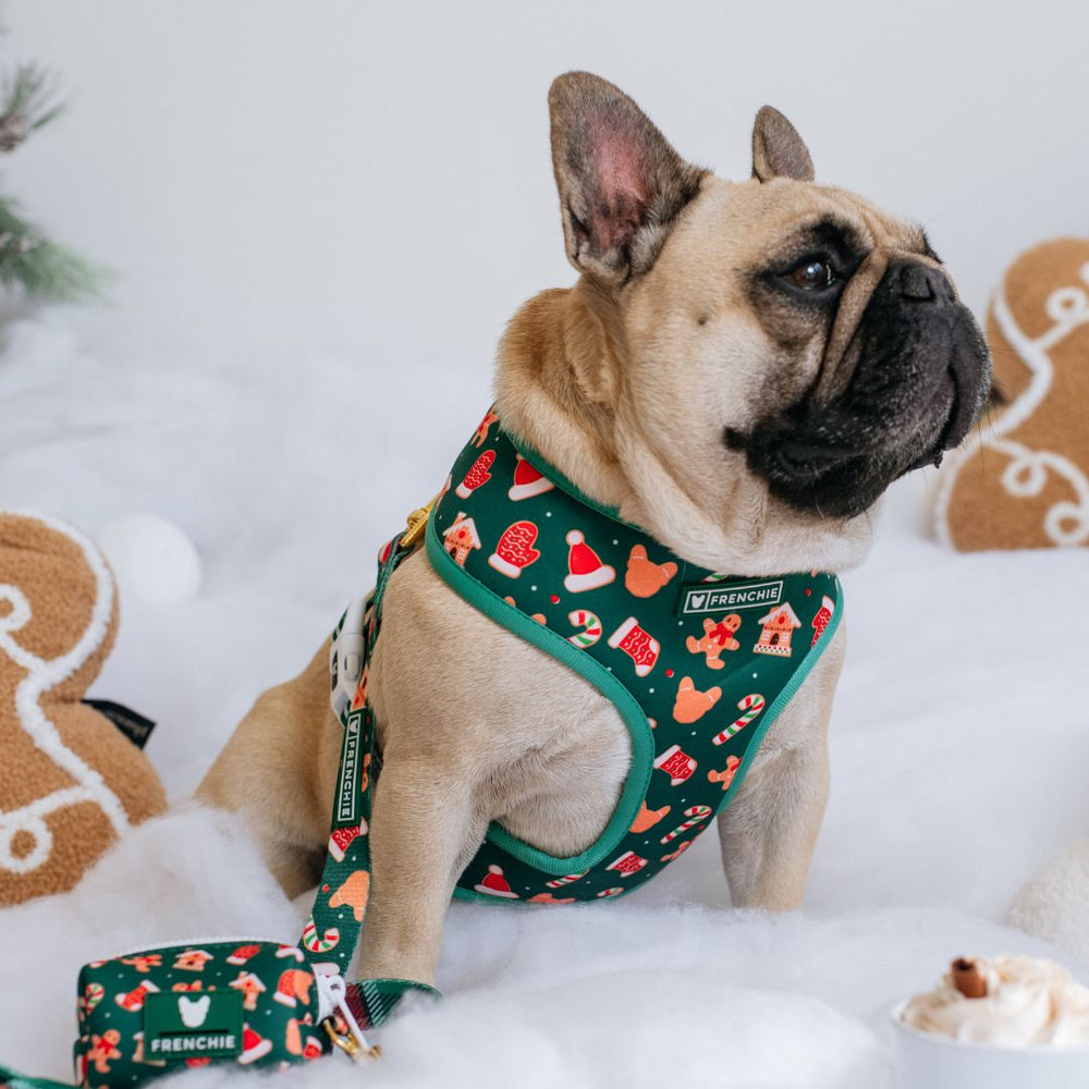 Frenchie Duo Reversible Harness - Gingerbread- Green