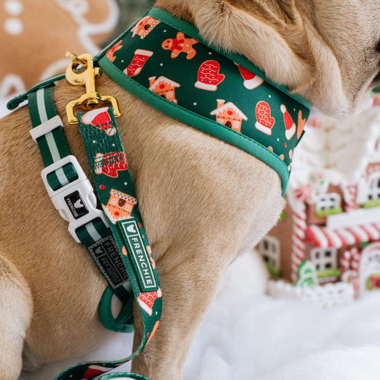 Frenchie Duo Reversible Harness - Gingerbread- Green