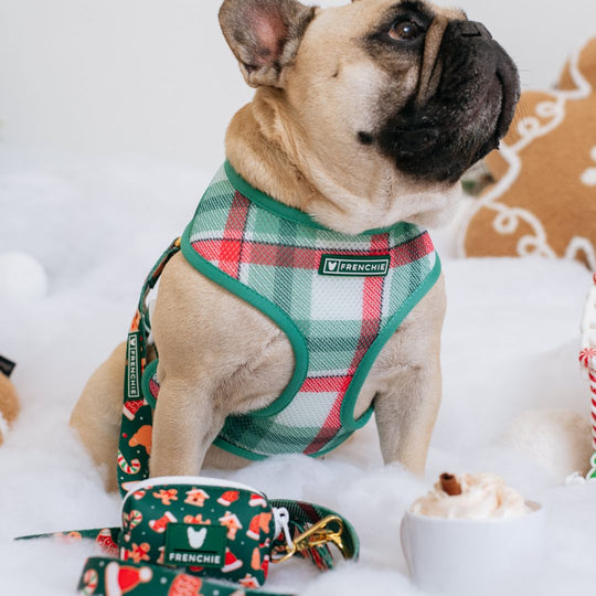 Frenchie Duo Reversible Harness - Gingerbread- Green