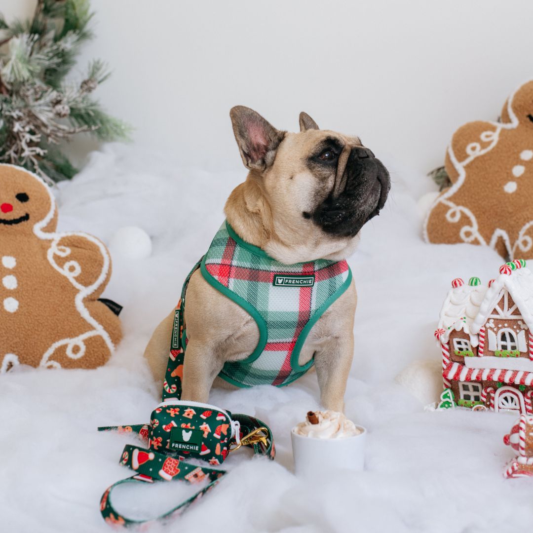 Frenchie Duo Reversible Harness - Gingerbread- Green