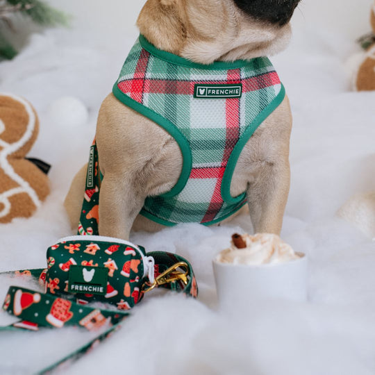 Frenchie Duo Reversible Harness - Gingerbread- Green