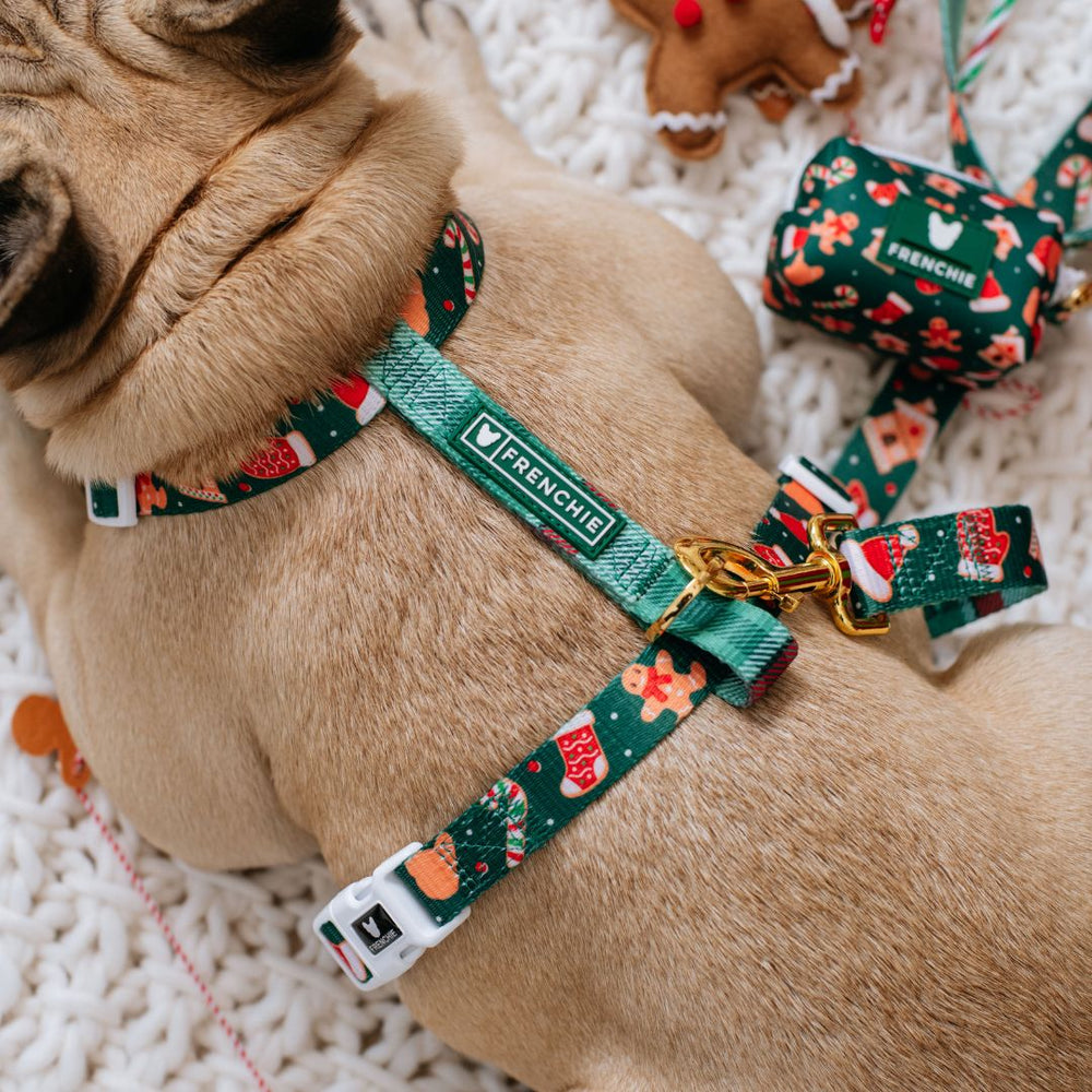 Frenchie Strap Harness - Gingerbread- Green