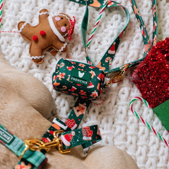 Frenchie Comfort Leash - Gingerbread- Green