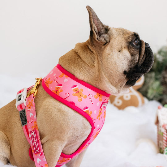 Frenchie Duo Reversible Harness - Gingerbread- Pink