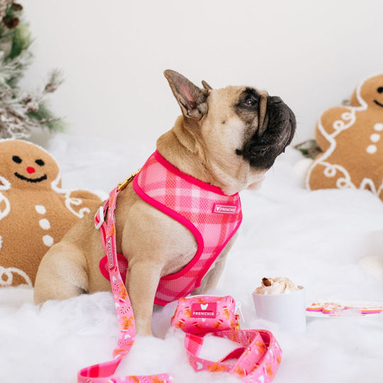 Frenchie Duo Reversible Harness - Gingerbread- Pink