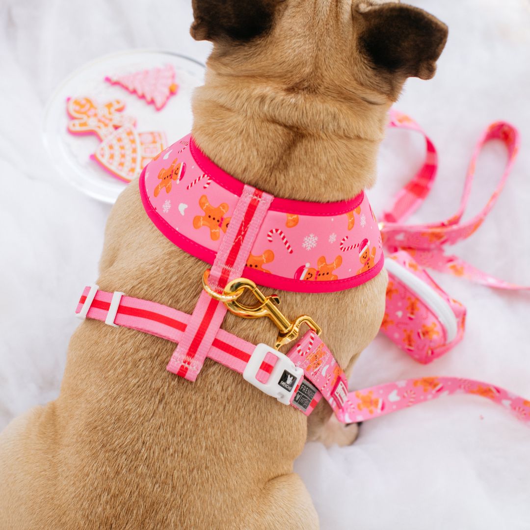 Frenchie Duo Reversible Harness - Gingerbread- Pink