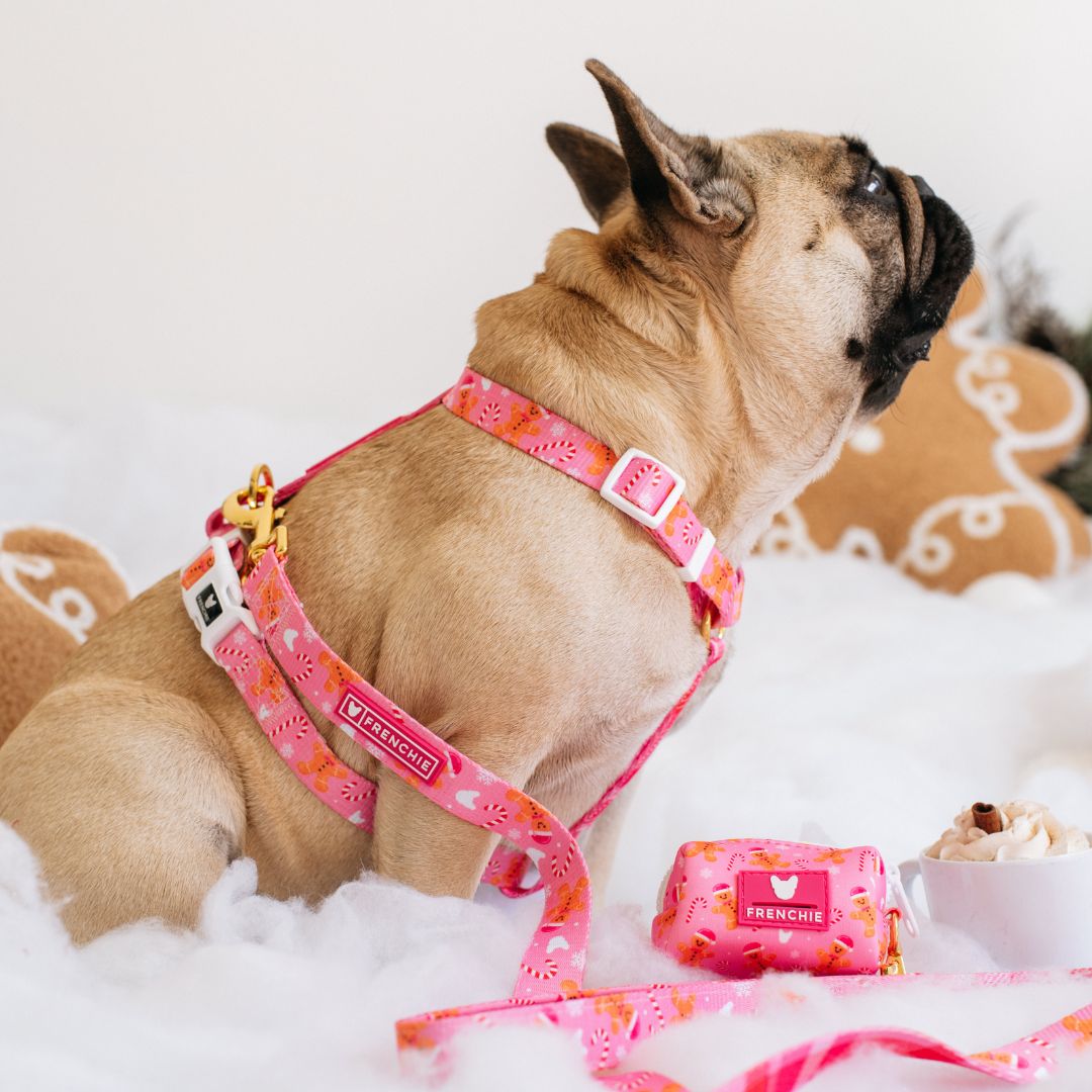 Frenchie Poo Bag Holder - Gingerbread- Pink