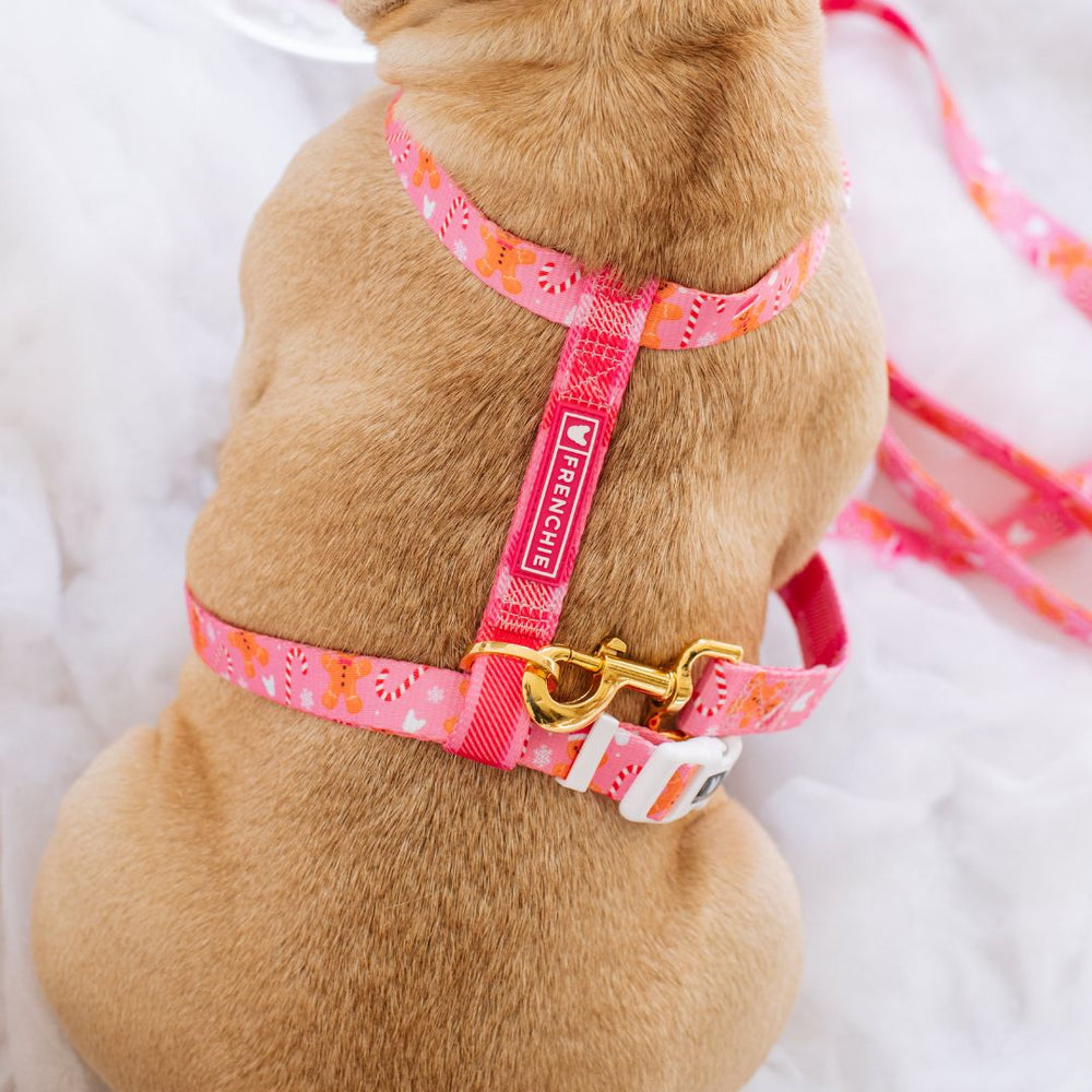 Frenchie Strap Harness - Gingerbread- Pink