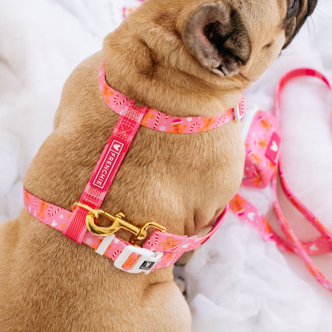 Frenchie Strap Harness - Gingerbread- Pink