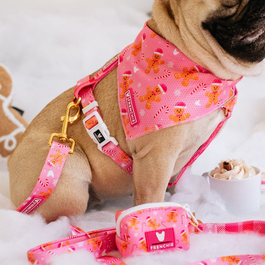 Frenchie Poo Bag Holder - Gingerbread- Pink