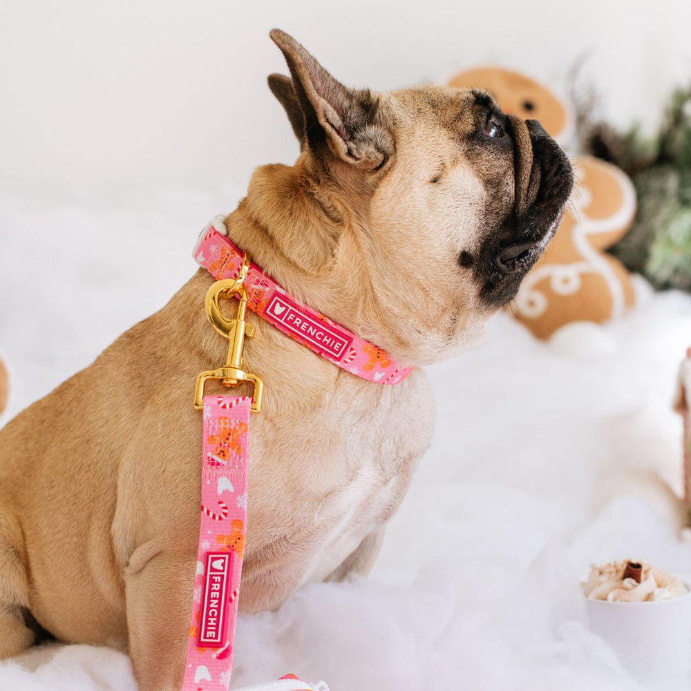 Frenchie Comfort Collar - Gingerbread- Pink