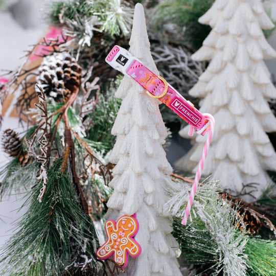 Frenchie Comfort Collar - Gingerbread- Pink