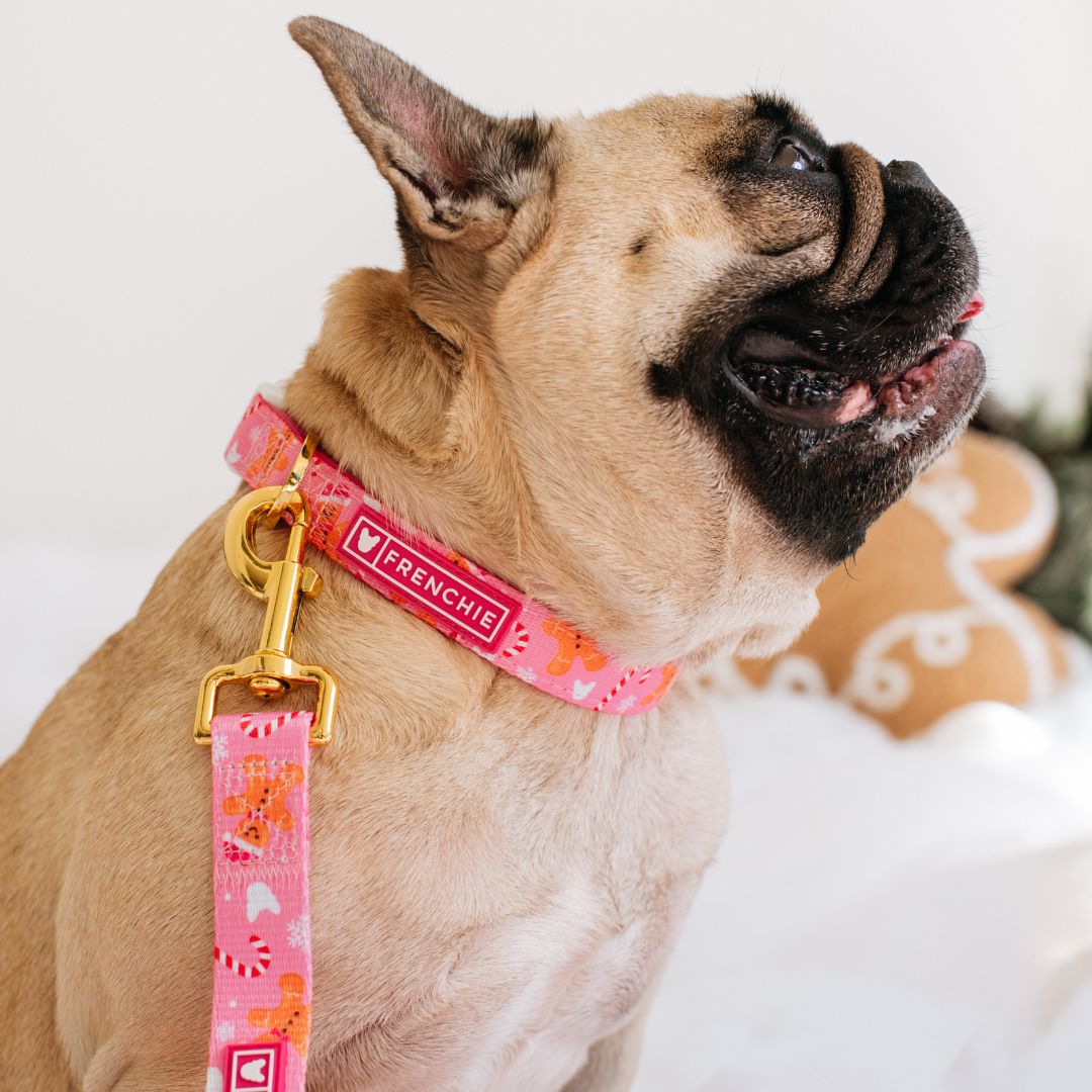 Frenchie Comfort Collar - Gingerbread- Pink