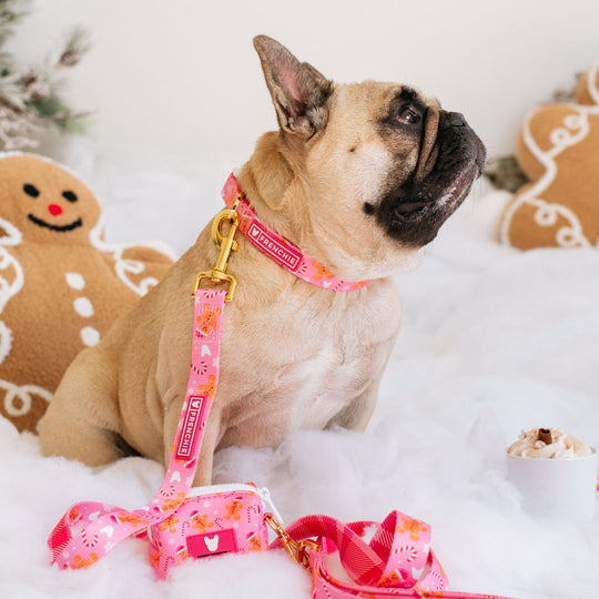 Frenchie Comfort Collar - Gingerbread- Pink