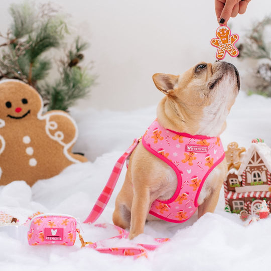 Frenchie Duo Reversible Harness - Gingerbread- Pink