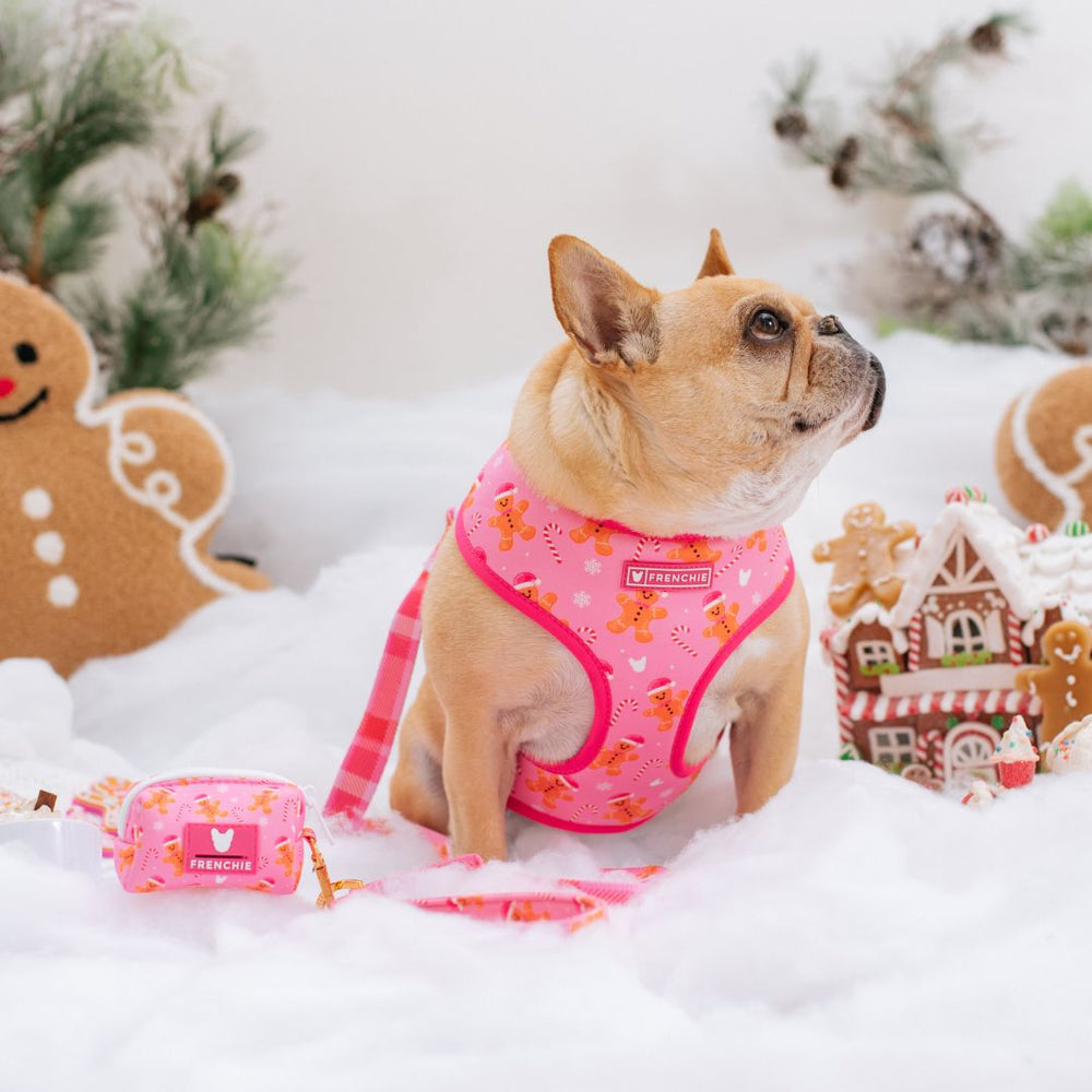 Frenchie Duo Reversible Harness - Gingerbread- Pink