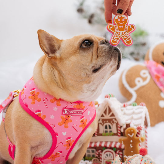 Frenchie Duo Reversible Harness - Gingerbread- Pink