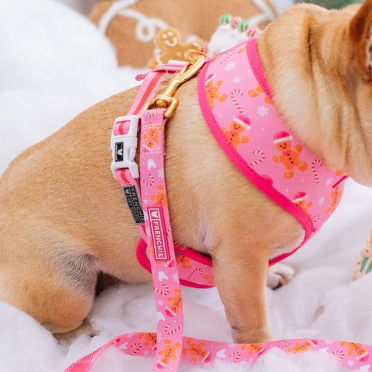 Frenchie Duo Reversible Harness - Gingerbread- Pink