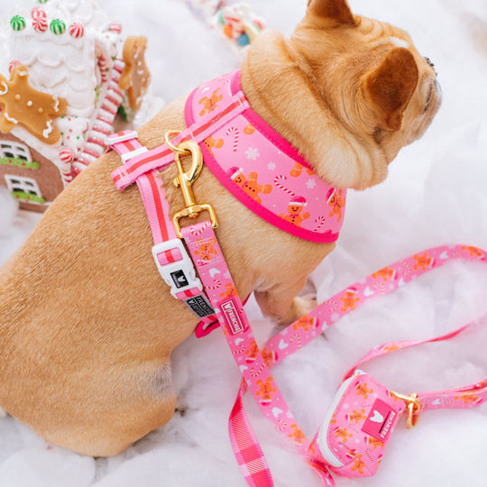 Frenchie Duo Reversible Harness - Gingerbread- Pink