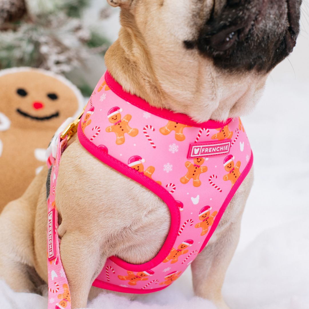 Frenchie Duo Reversible Harness - Gingerbread- Pink