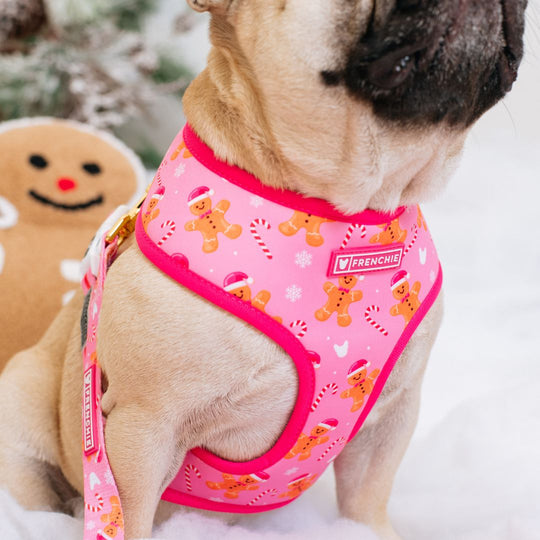 Frenchie Duo Reversible Harness - Gingerbread- Pink