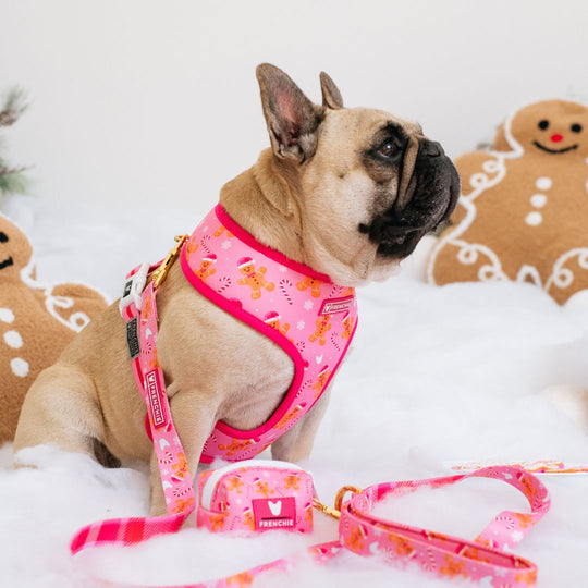 Frenchie Duo Reversible Harness - Gingerbread- Pink