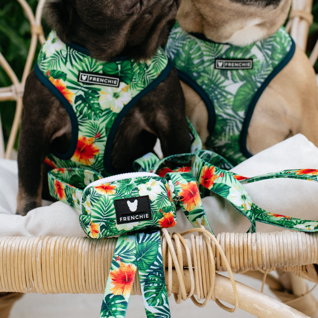 Frenchie Poo Bag Holder - Hawaiian Shirt